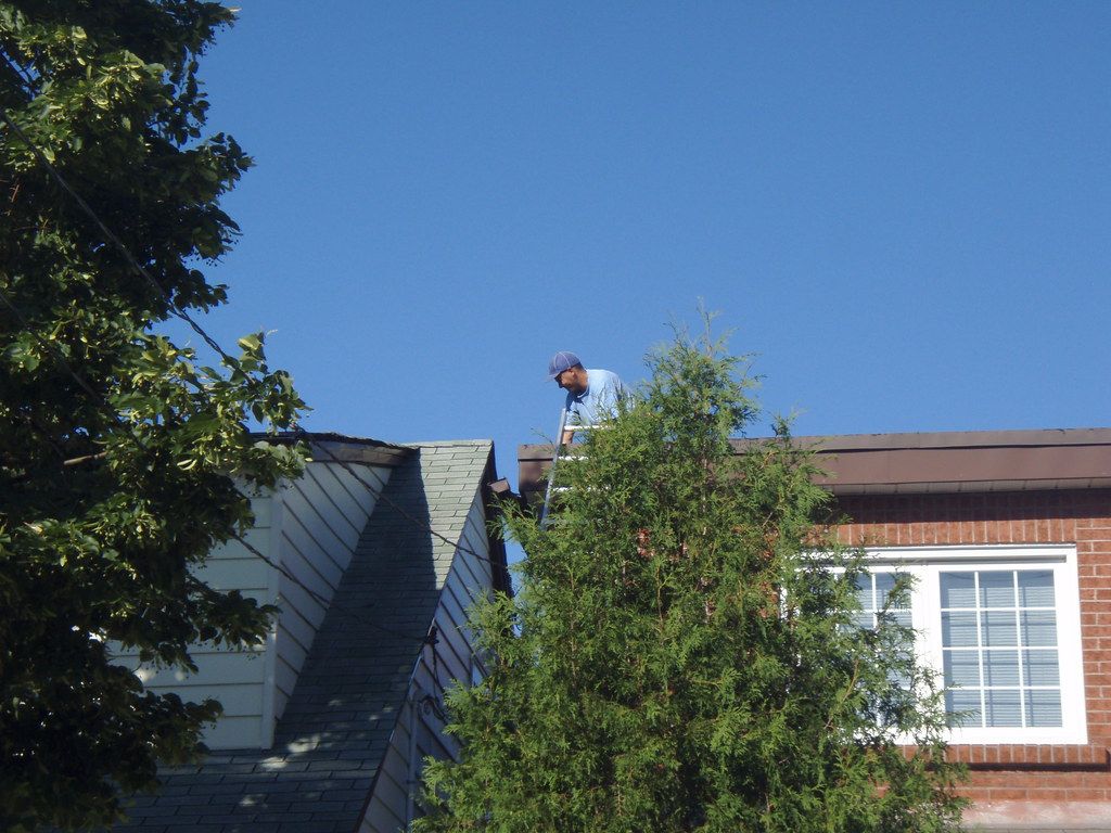 local roofer local roofing